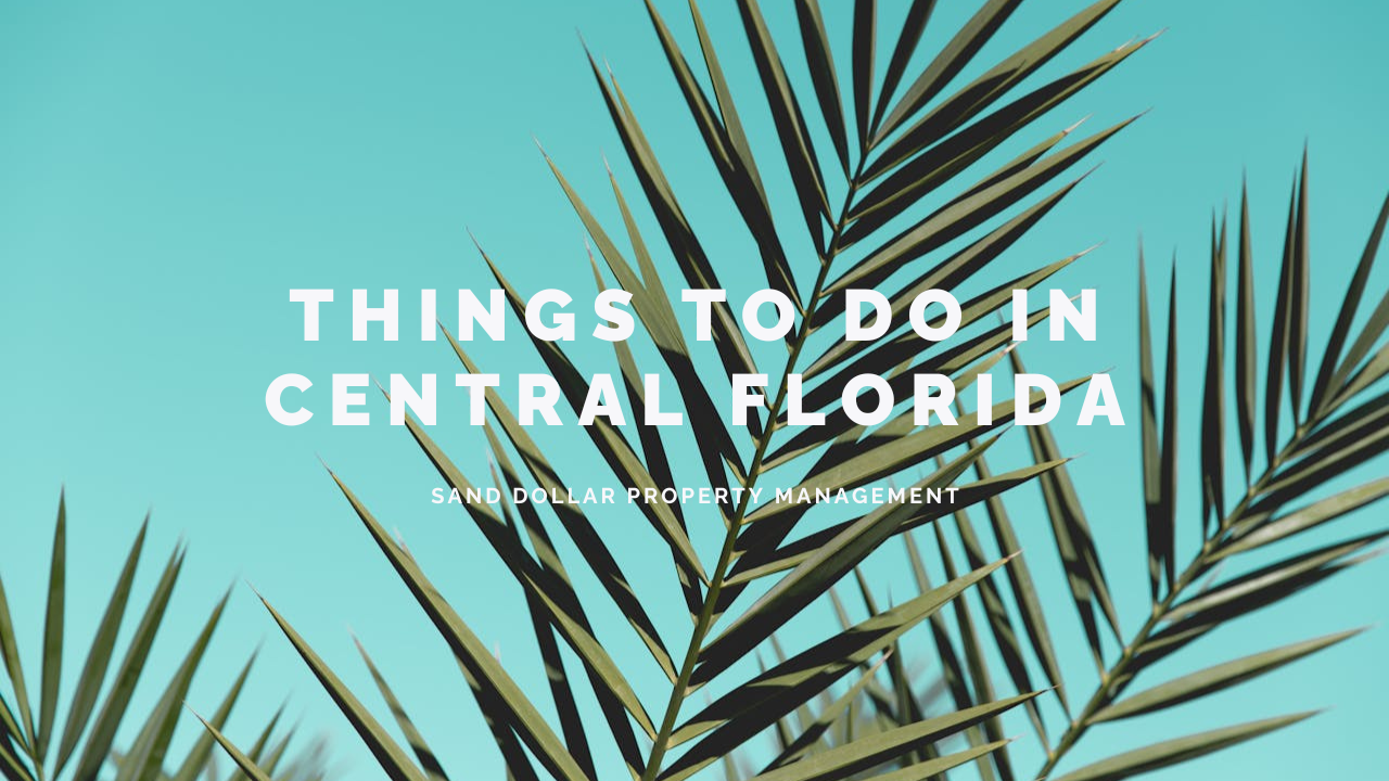 Things to Do in Central Florida